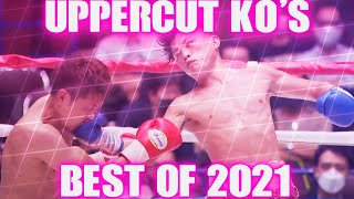 Uppercut Knockouts  Best of 2021 [upl. by Recha276]