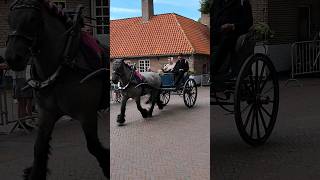 🐴 Ringrijden Sjezen Middelburg🇳🇱 Netherlands TravelwithHugoF ringrijden middelburg netherlands [upl. by Pasho]