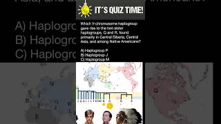 Y chromosome Haplogroups Phylogenetic Tree [upl. by Fulbert]