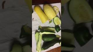 The Horrid Pickleworms And Melonworms Have Arrived Florida Vegetable Garden April 24th 2019 [upl. by Hekking168]