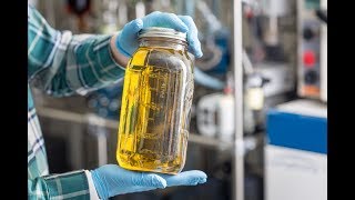 How Its Made Cannabis Distillate Oil [upl. by Nnylatsyrk]