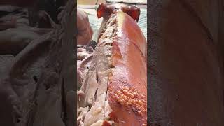 Pork lechon pork porklechon trending youtubeshorts shortsvideo shorts reels [upl. by Mychal]