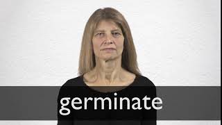 How to pronounce GERMINATE in British English [upl. by Lazarus]