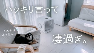 画期的！超便利ampおしゃれアイテム3選✨ペットグッズ｜デスク｜家電｜オーブンレンジ [upl. by Lavotsirc627]