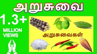 தமிழரசிஅறுசுவைகள் Learn name of Six tastes in Tamil for Kids and Children  Tamilarasi [upl. by Lehcer]