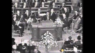 Martin Luther King Jr Nobel Peace Prize Acceptance Speech [upl. by Roots139]