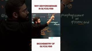 Dehydrogenase  Glycolysis  Respiration  Dr Niladri Deb  ​⁠factionbio1166 [upl. by Pickering]