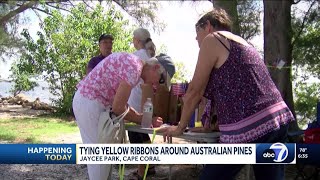 Cape Coral community ties ribbons at Jaycee Park to honor veterans raise awareness of tree remov [upl. by Way]