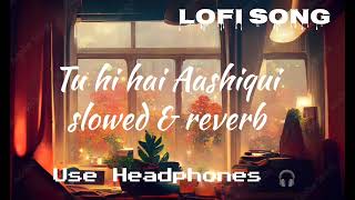 Tu hi hai Aashiqui slowed amp reverb Dishkiyaoon Arijit Singh palak muchhal Lofi song [upl. by Kresic]