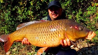 Ribolov na div KRAP  Carp fishing  by Oki ribar [upl. by Eentihw]