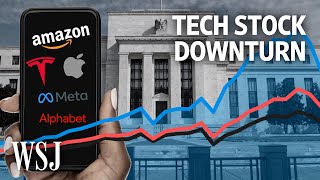 Why Are Tech Stocks Taking Such a Beating  WSJ [upl. by Shirberg]