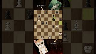 Mittens vs Stockfish stockfish chess chessgame [upl. by Obola41]