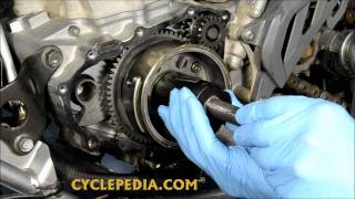 Cyclepedia Flywheel Removal [upl. by Eanwahs53]