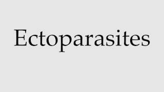 How to Pronounce Ectoparasites [upl. by Barthel]