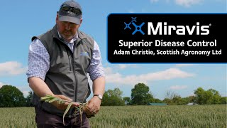 Superior cereal disease control with MIRAVIS® [upl. by Sew]