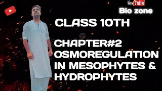 Class10th homeostasis  Osmoregulation in mesophytes and hydrophytes [upl. by Raddi]