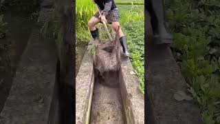 Soil clearing process for water channel [upl. by Draneb]