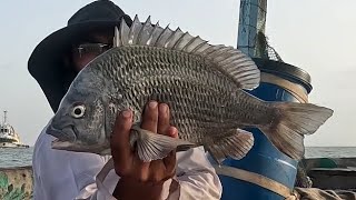 mangrove fishing Ibharim hayderi to phitti creek part 2 [upl. by Karyl857]