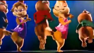 Cute cats dancing on dj vale babu [upl. by Ahsitam180]