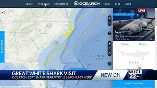 12foot shark pings off South Carolina coast [upl. by Angelique334]