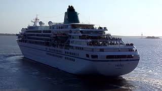 Die MS Amadea am Kreuzfahrt Terminal Bremerhaven [upl. by Nohcim]