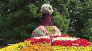 Blumenfiguren  Insel Mainau [upl. by Llerod951]