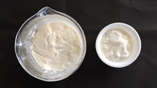 How to Prepare Curd from Lactobacillus Bacteria  Curd Preparation for Practical Purpose Only [upl. by Cargian270]