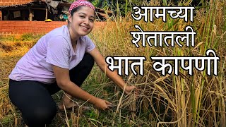 आमच्या शेतातली भात कापणी  Bhat Kapani  Rice Harvesting  Kokan [upl. by Misti272]