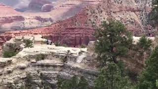 Onlookers scream as woman falls to her death at the Grand Canyon [upl. by Joellen]