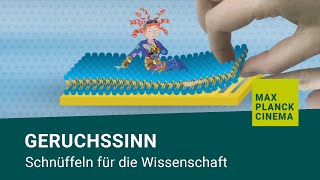 Geruchssinn  Schnüffeln für die Wissenschaft [upl. by Alexio]