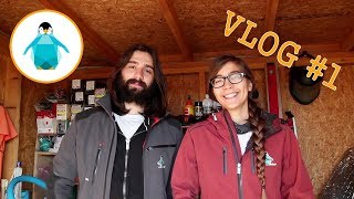 Vlog 1  Bonne année FAQ Autonomie Permaculture Apiculture [upl. by Decamp209]