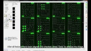 Glycan Microarray Analysis using GenePix Pro [upl. by Ahsilram]