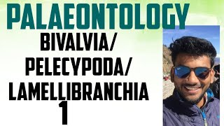 palaeontology lecture series bivalvia pelecyopoda lamellibranchia part12 [upl. by Emanuel387]