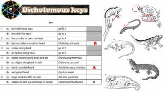 Dichotomous Keys Biology IGCSE [upl. by Nadoj]