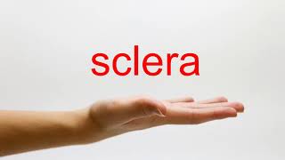 How to Pronounce sclera  American English [upl. by Enyamart]