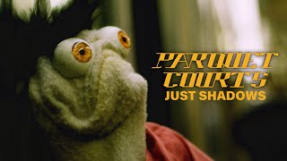 Parquet Courts  quotJust Shadowsquot Official Music Video [upl. by Sparks]