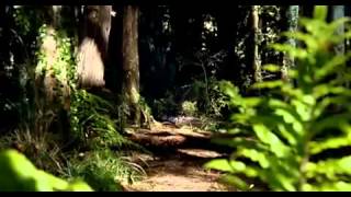 Bridge To Terabithia 2007 Trailer [upl. by Oetam66]