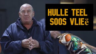 Teel aan soos vlieë  Willem van Wyk [upl. by Orlov624]