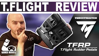 Thrustmaster TFlight Rudder Pedals Review  Microsoft Flight sim 2020  XP11  DCS [upl. by Unhsiv38]