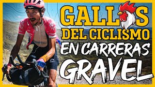 GALLOS GRAVEL Y CICLISMO ¿ENTRENAMIENTO BIKEPACKING para TOUR  GIRO o LA VUELTA  Javier Bañón Izu [upl. by Nollahs]