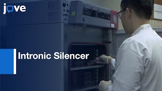 Intronic Silencer Transcriptional Role Analysis by CRISPRCas9 RNP  Protocol Preview [upl. by Ytissahc]