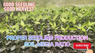 SEEDLING PRODUCTION  PFOPER SOIL MEDIA PREPARATION farmingvideos farmerslife organicfarming [upl. by Anor]