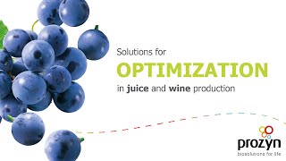 Solutions for optimizing the production of juices and wines  Prozyn Biosolutions [upl. by Arvy138]