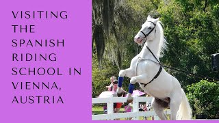 Visiting the Spanish Riding School in Vienna Austria ❤❤🐴🐴 [upl. by Nnylyam548]