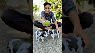 Rc Remote Control Two Cow Unboxing 🐄🔥 [upl. by Brosy]