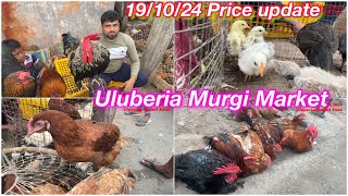 Uluberia Murgi Market Uluberia Pet Market 191024 price today cheapestprice uluberiapetmarket [upl. by Wilie]