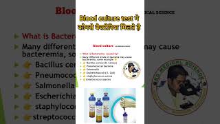 Bacteria in blood culture test in hindishorts [upl. by Ezechiel]