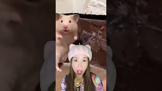 Startled Hamster 😤 Voice Over shorts funny comedy feelgood viral trend memes hamsters [upl. by Snashall601]