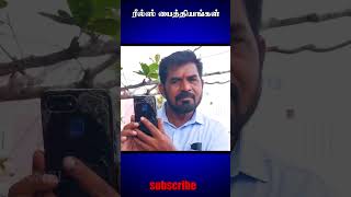 Reels paithiyam shortfeeds comedyshorts comedy [upl. by Lerred]