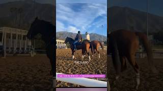 Breeders Cup 2024  Del Mar  RAC3LAND [upl. by Titus106]